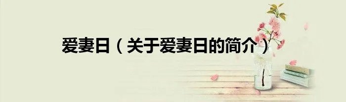 爱妻日（关于爱妻日的简介）