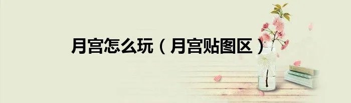 月宫怎么玩（月宫贴图区）