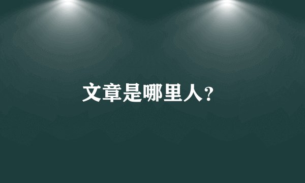 文章是哪里人？