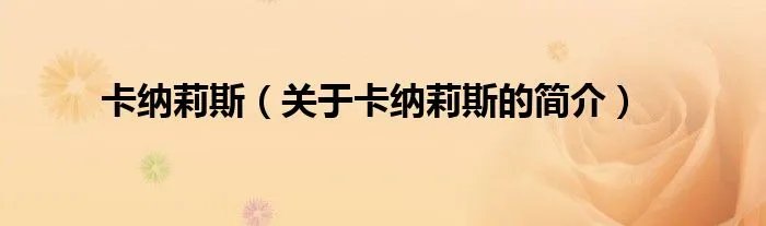 卡纳莉斯（关于卡纳莉斯的简介）