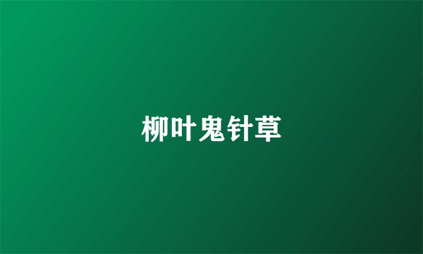 柳叶鬼针草