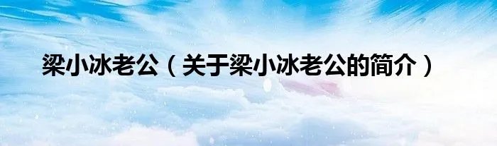 梁小冰老公（关于梁小冰老公的简介）
