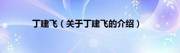 丁建飞（关于丁建飞的介绍）
