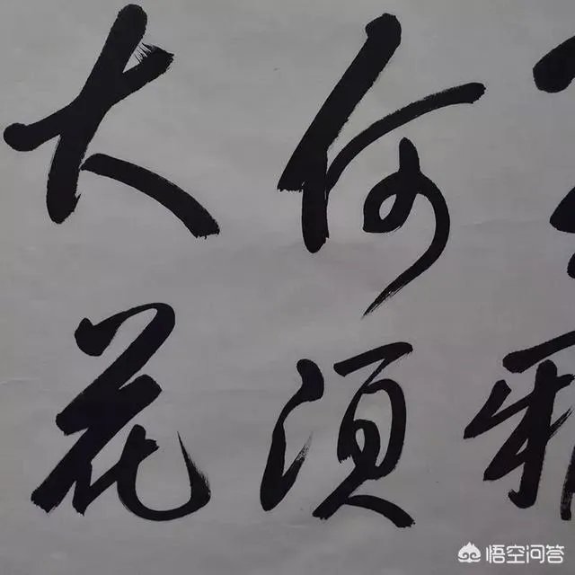 怎样评价董卿的书法作品?