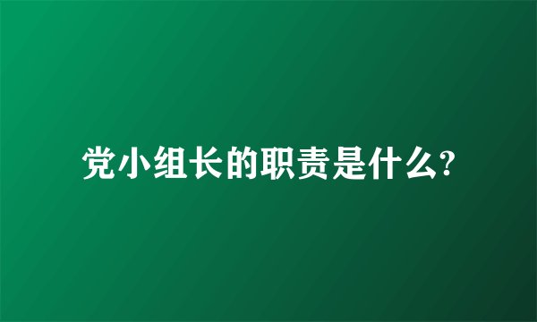 党小组长的职责是什么?