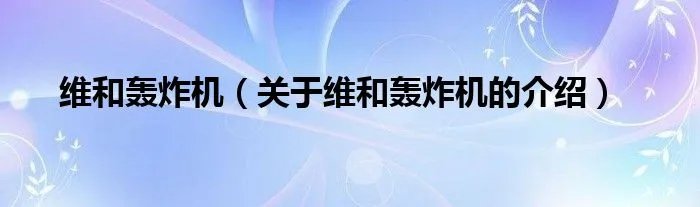 维和轰炸机（关于维和轰炸机的介绍）