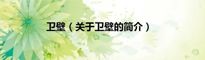 卫壁（关于卫壁的简介）