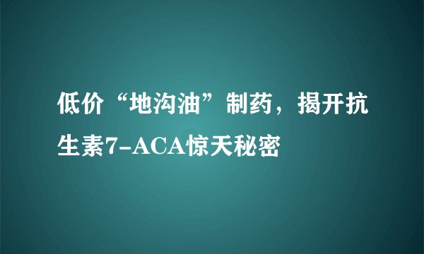 低价“地沟油”制药,揭开抗生素7-ACA惊天秘密