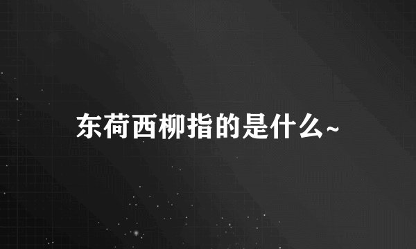 东荷西柳指的是什么~