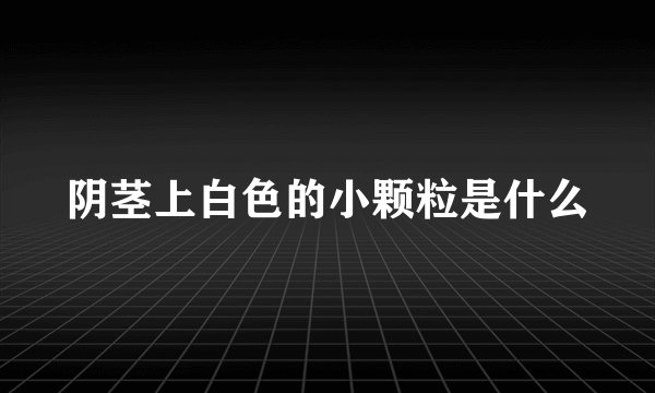 阴茎上白色的小颗粒是什么