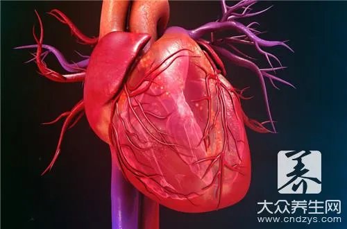 哈密大枣的功效与作用有哪些