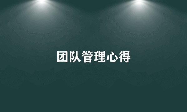团队管理心得