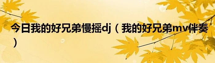 今日我的好兄弟慢摇dj(我的好兄弟mv伴奏)