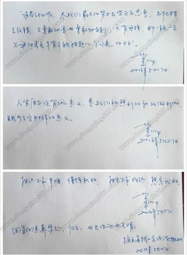 怎样评价董卿的书法作品?