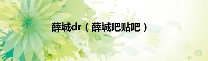 薛城dr（薛城吧贴吧）