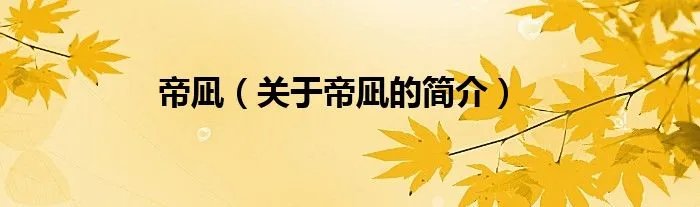 帝凪（关于帝凪的简介）