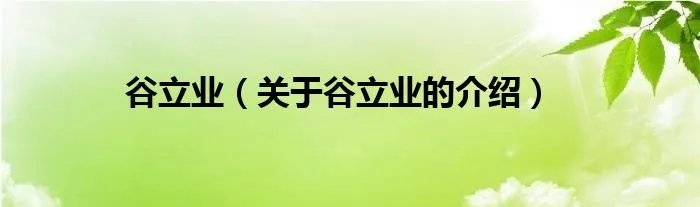 谷立业（关于谷立业的介绍）