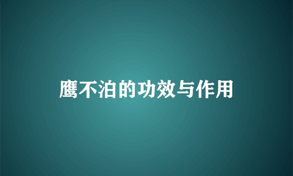 鹰不泊的功效与作用