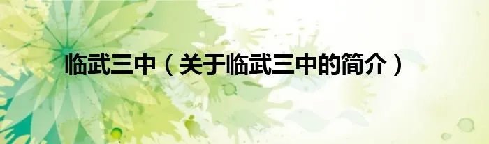 临武三中（关于临武三中的简介）