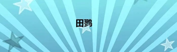 田鹨