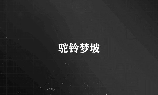 驼铃梦坡