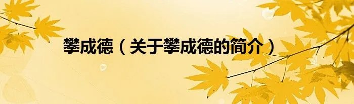 攀成德（关于攀成德的简介）