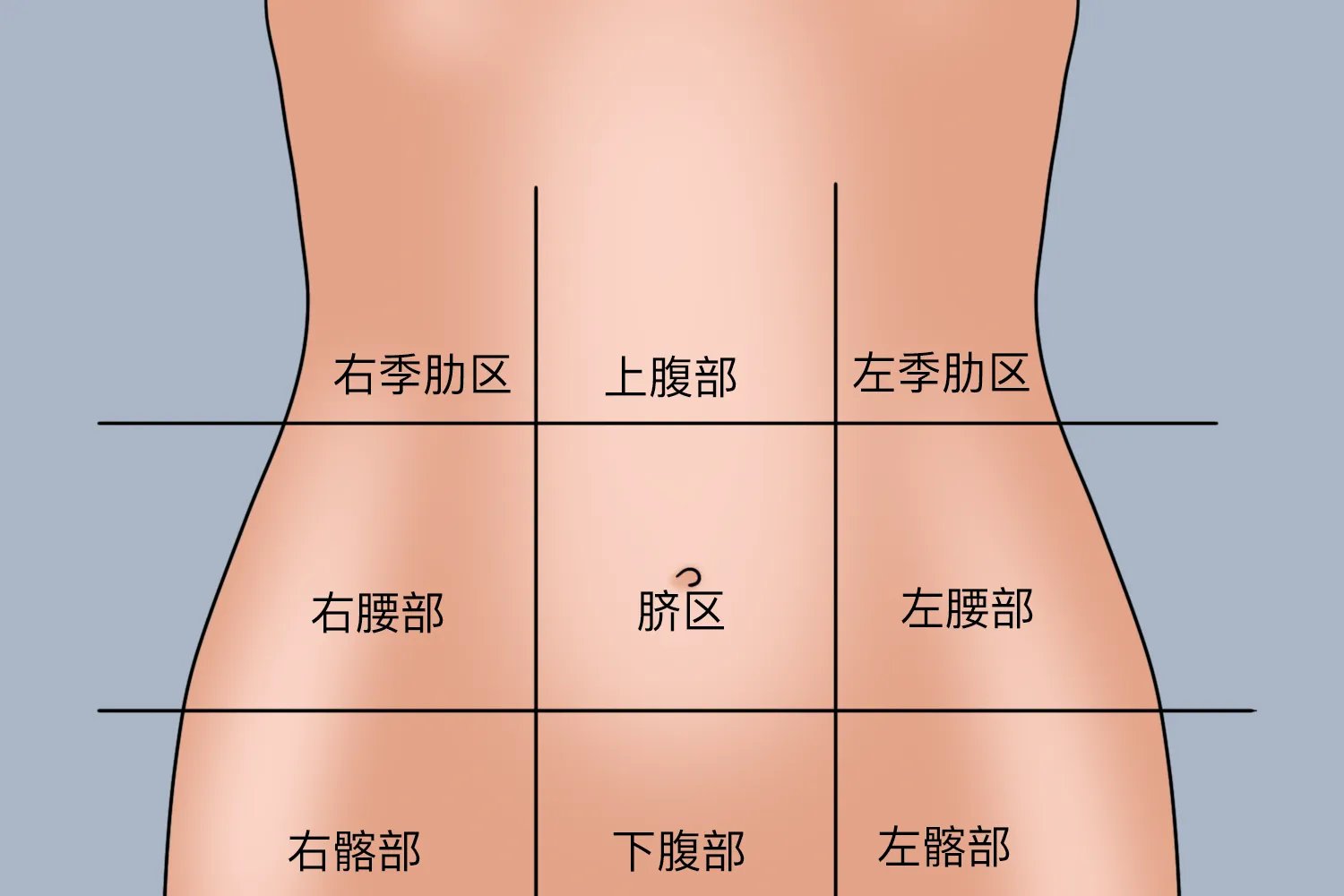 肚脐眼左边是什么部位