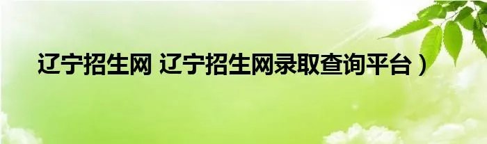 辽宁招生网 辽宁招生网录取查询平台）