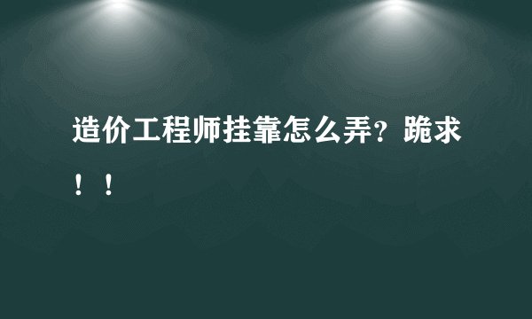 造价工程师挂靠怎么弄？跪求！！