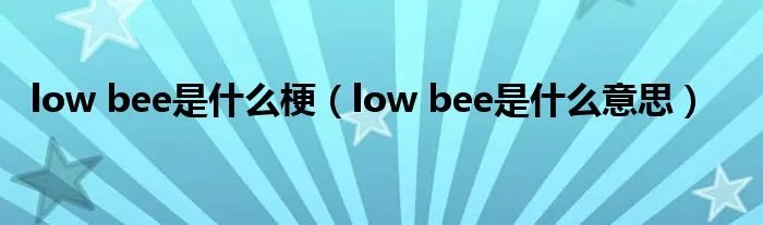 low bee是什么梗（low bee是什么意思）