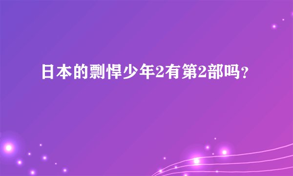 日本的剽悍少年2有第2部吗？