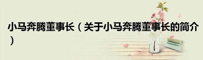 小马奔腾董事长（关于小马奔腾董事长的简介）