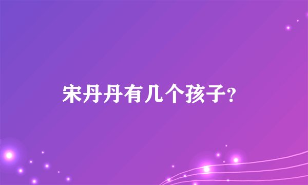 宋丹丹有几个孩子？