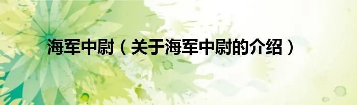 海军中尉（关于海军中尉的介绍）