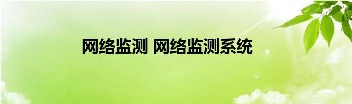 网络监测 网络监测系统