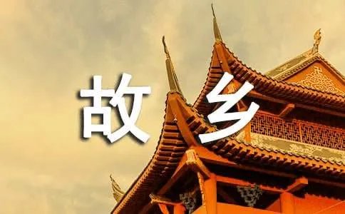 20年后回故乡作文