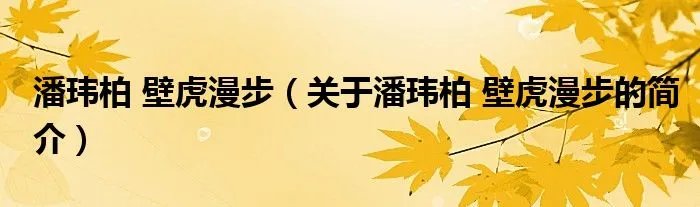 潘玮柏 壁虎漫步（关于潘玮柏 壁虎漫步的简介）