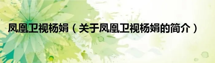 凤凰卫视杨娟（关于凤凰卫视杨娟的简介）