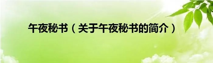 午夜秘书（关于午夜秘书的简介）