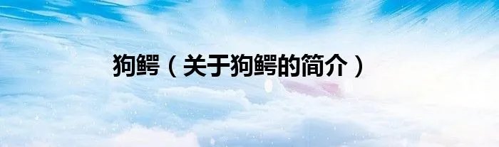狗鳄（关于狗鳄的简介）