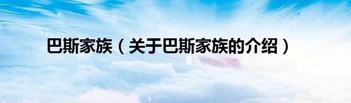 巴斯家族（关于巴斯家族的介绍）