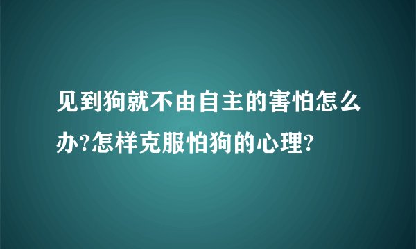 见到狗就不由自主的害怕怎么办?怎样克服怕狗的心理?