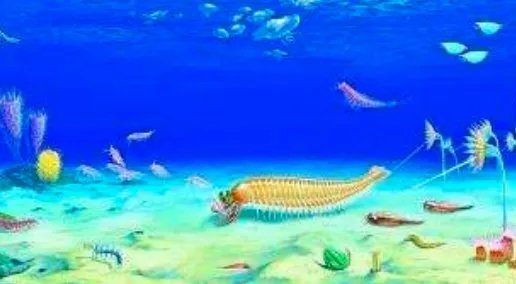 中国学者发现5亿年前四不像动物,究竟是什么生物这么神奇?