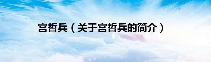 宫哲兵（关于宫哲兵的简介）