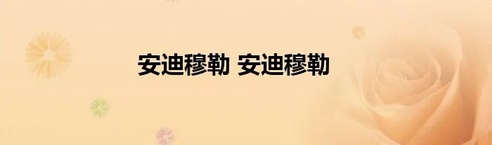 安迪穆勒 安迪穆勒
