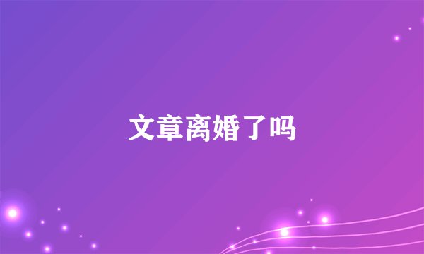 文章离婚了吗