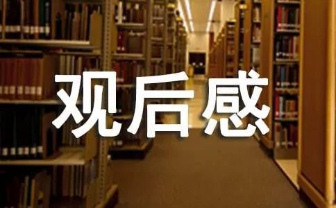 南极大冒险观后感