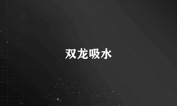 双龙吸水