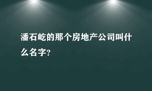潘石屹的那个房地产公司叫什么名字？