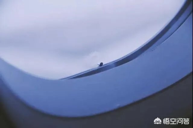 飞机舷窗为什么是椭圆形的？舷窗底部的小孔有什么作用？
